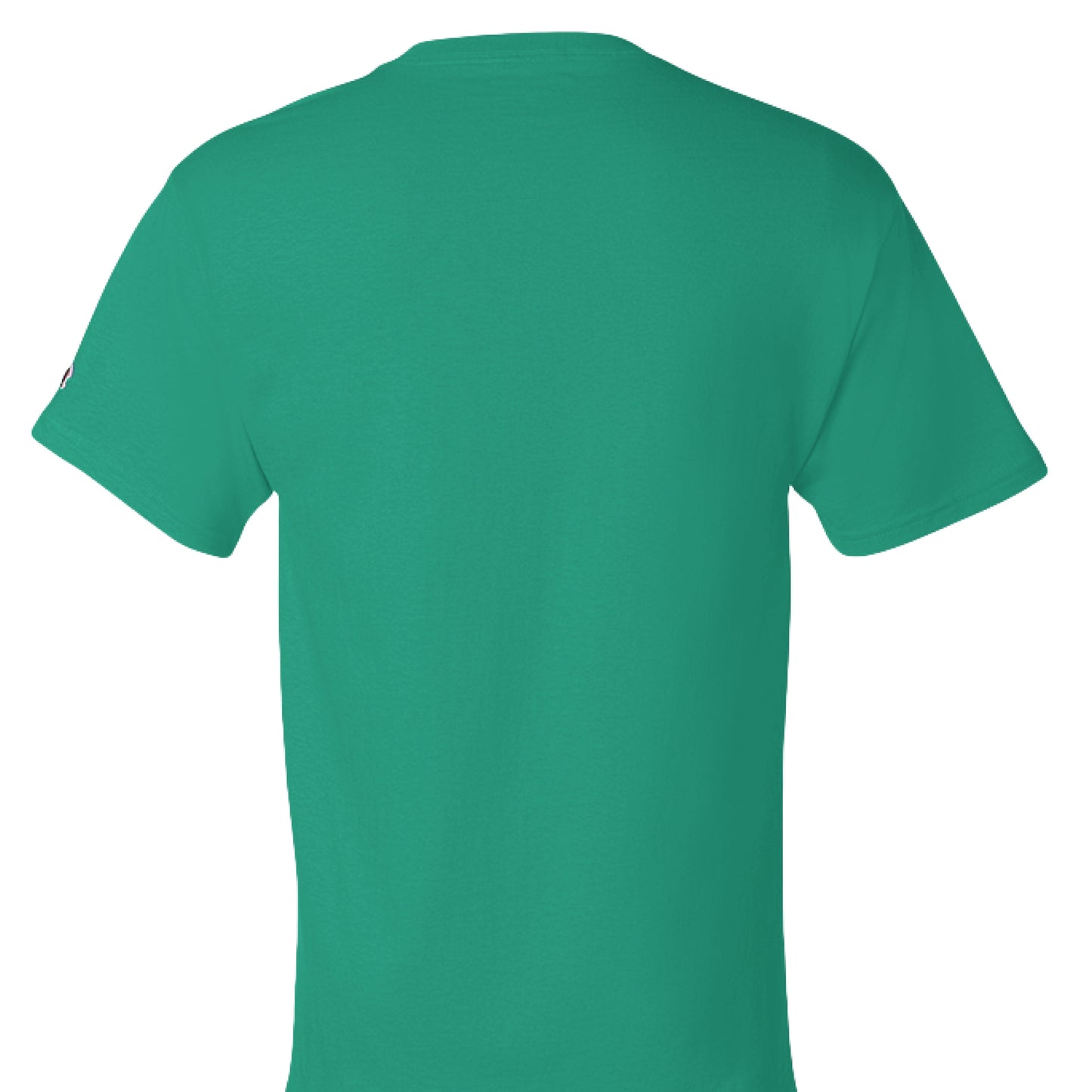 KELLY GREEN - BACK Rep your motivation with the Showup Showout Champion T-shirt. Premium 100% cotton inspirational tee perfect for those who chase their dreams. Classic fit with Champion quality. Show up, show out!