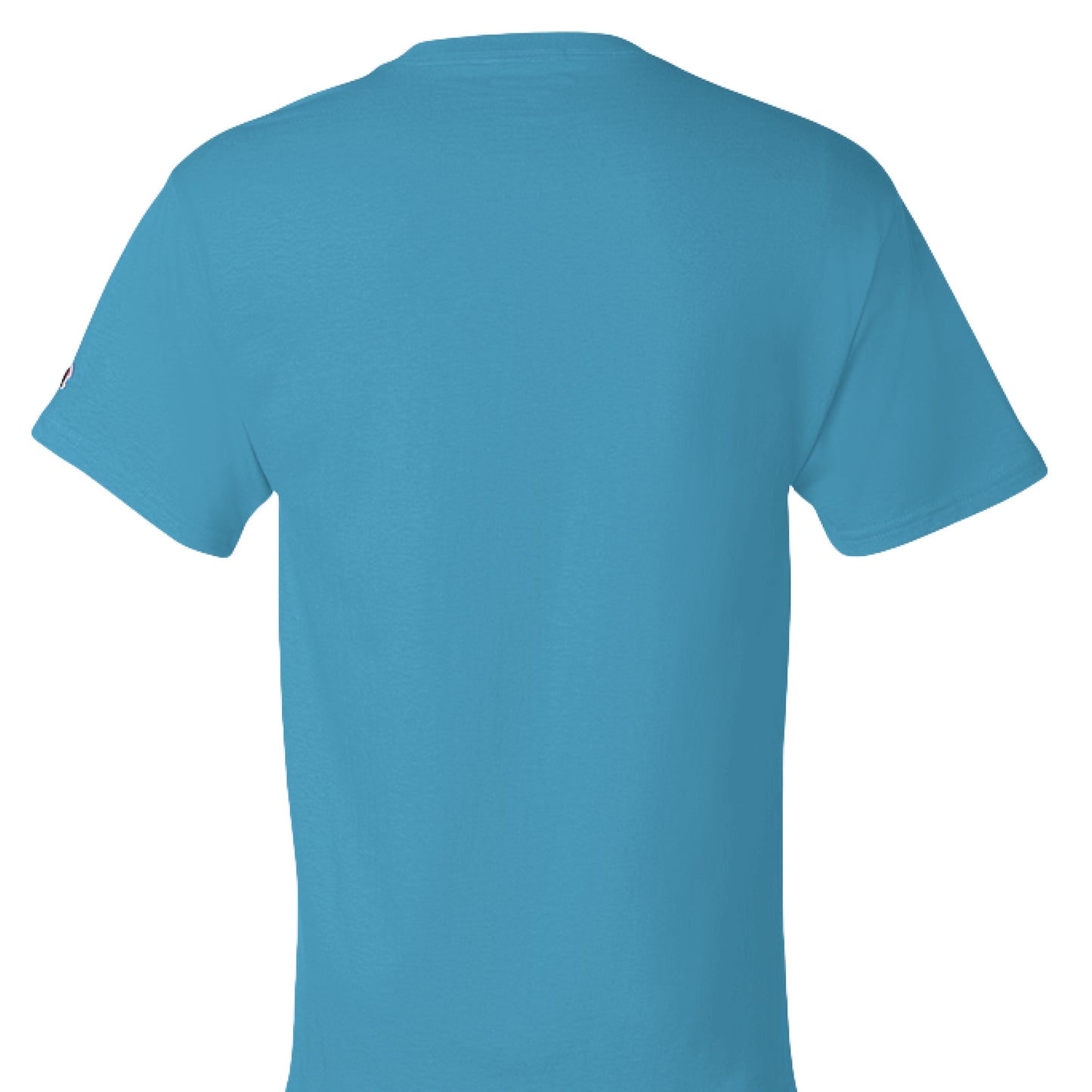 Blue Lagoon - BACK Rep your motivation with the Showup Showout Champion T-shirt. Premium 100% cotton inspirational tee perfect for those who chase their dreams. Classic fit with Champion quality. Show up, show out!