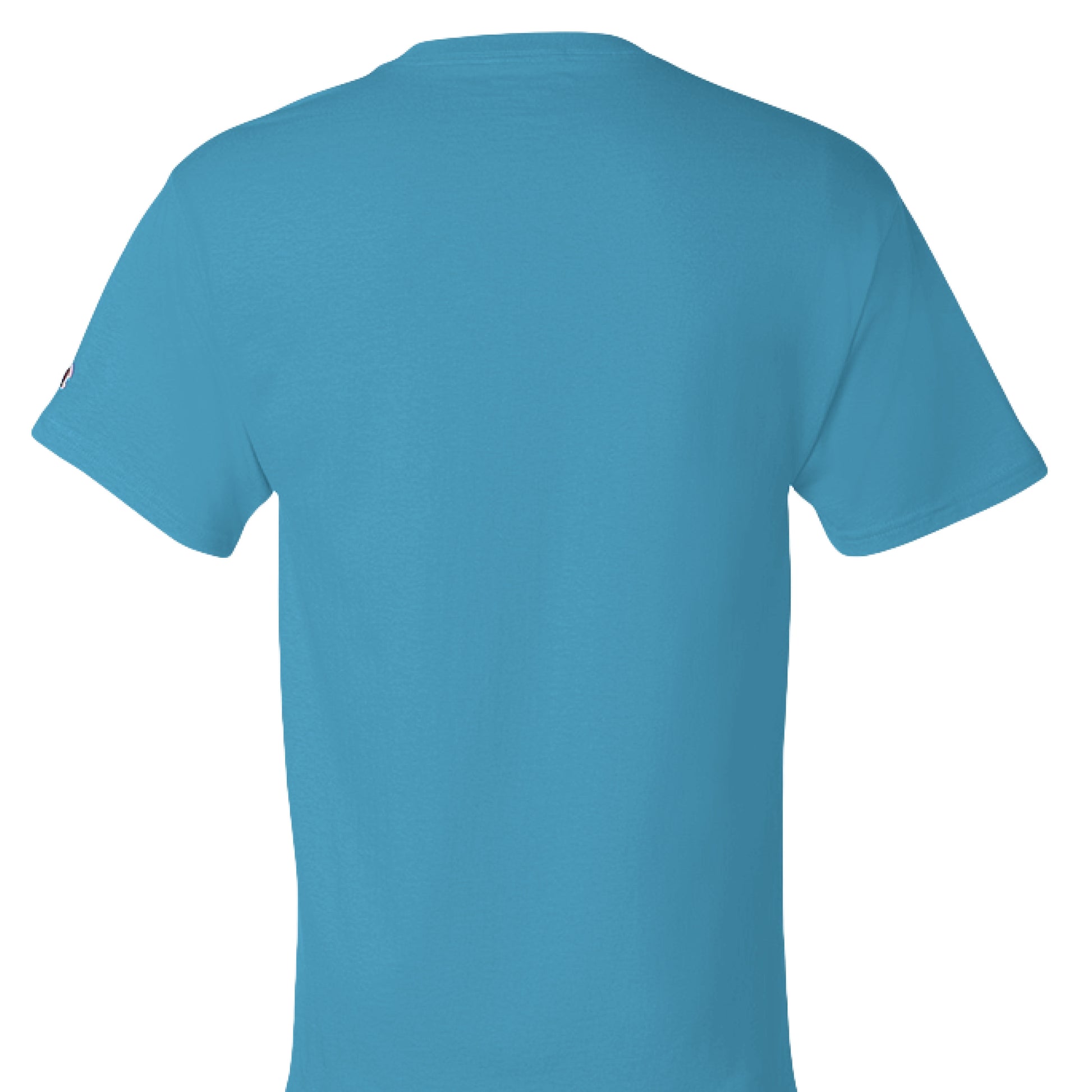 Blue Lagoon - BACK Rep your motivation with the Showup Showout Champion T-shirt. Premium 100% cotton inspirational tee perfect for those who chase their dreams. Classic fit with Champion quality. Show up, show out!